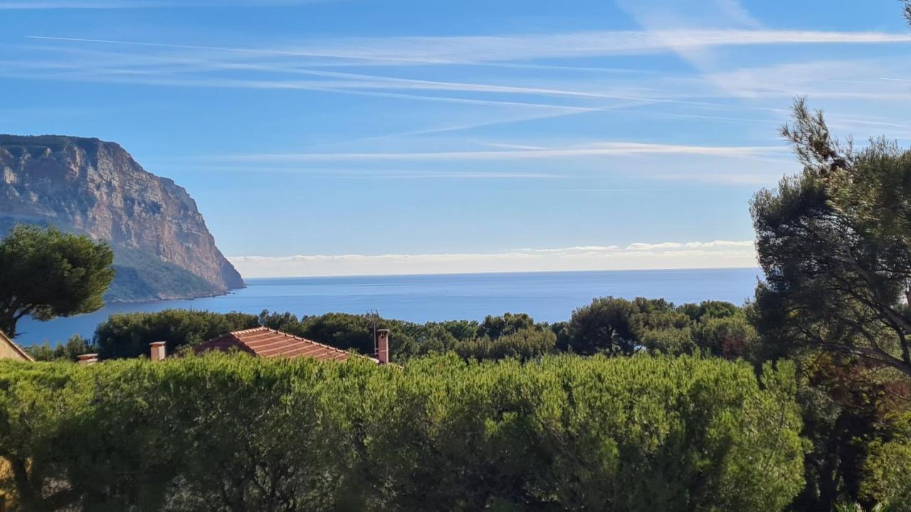 Apartment & Calanques