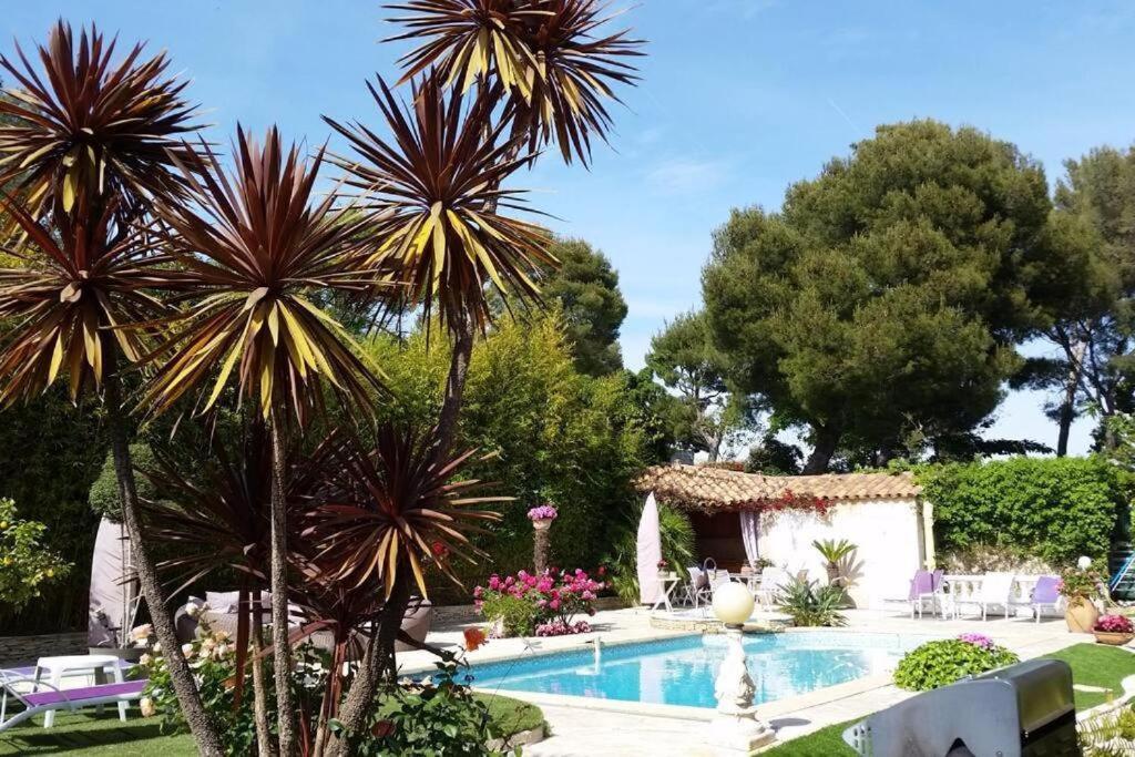 Appartement & Calanques